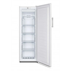 Hisense - FV245N4AW1 - Upright Freezer